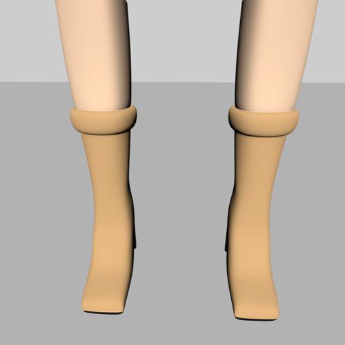 High Class Female Long Shoes  preview image